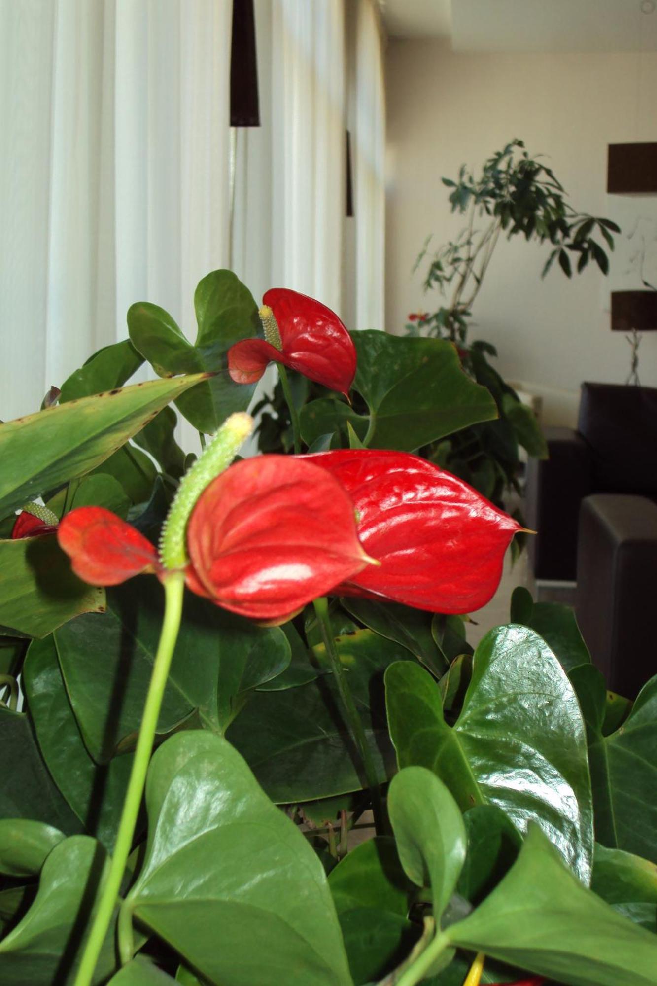 Hotel For You Olbia Esterno foto