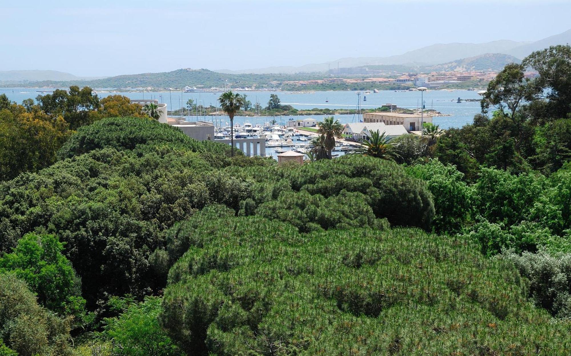 Hotel For You Olbia Esterno foto